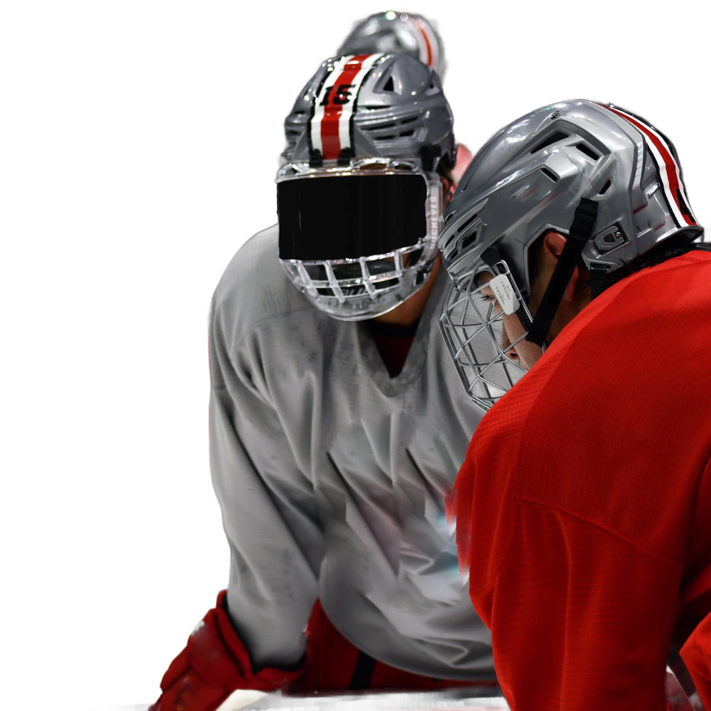 Team Bundle - Helmet Stripes (20x)