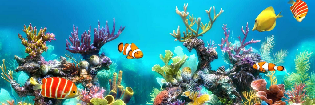 Aquarium Skin